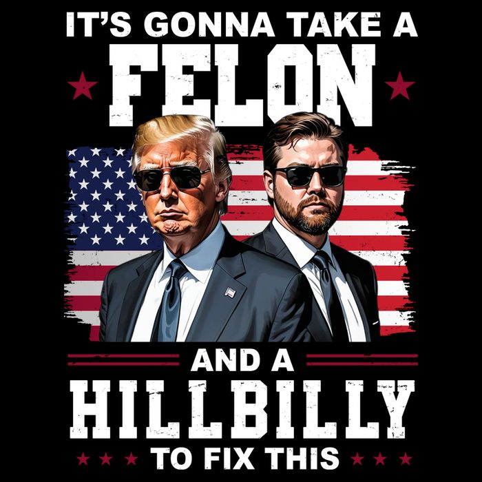 Its Gonna Take A Felon And A Hillbilly To Fix This Pro Trump Vance 16 in Basic Backpack
