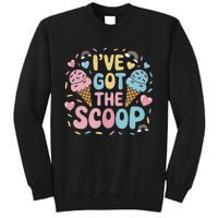 IVe Got The Scoop Ice Cream Pun For Ice Cream Lovers Sweatshirt