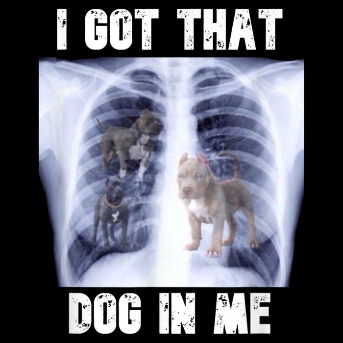 I Got That Dog In Me Xray Meme Button