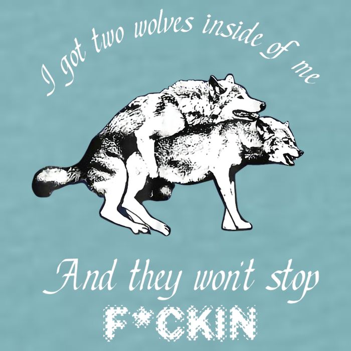 I Got Two Wolves Inside Of Me And They Won’t Stop Fckin Sueded Cloud Jersey T-Shirt