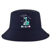 IM Going To Be A Big Sister 2024 Announcing Pregnancy Cool Comfort Performance Bucket Hat