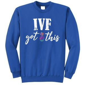 Ive Got This Ive Got This Ivf Pun Infertility Awareness Gift Sweatshirt