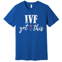 Ive Got This Ive Got This Ivf Pun Infertility Awareness Gift Premium T-Shirt