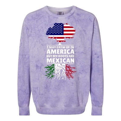 I Grew Up In America But My Roots Are Mexican Colorblast Crewneck Sweatshirt