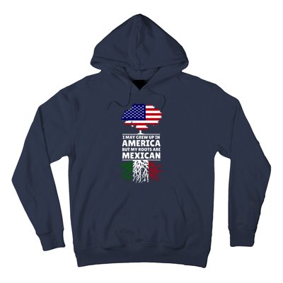 I Grew Up In America But My Roots Are Mexican Hoodie