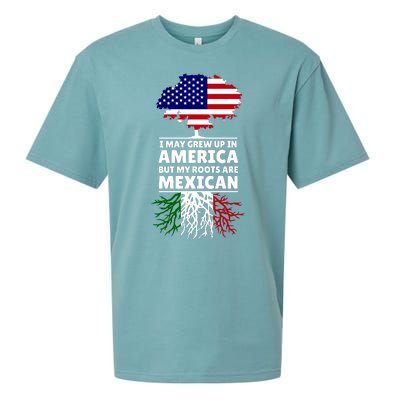 I Grew Up In America But My Roots Are Mexican Sueded Cloud Jersey T-Shirt