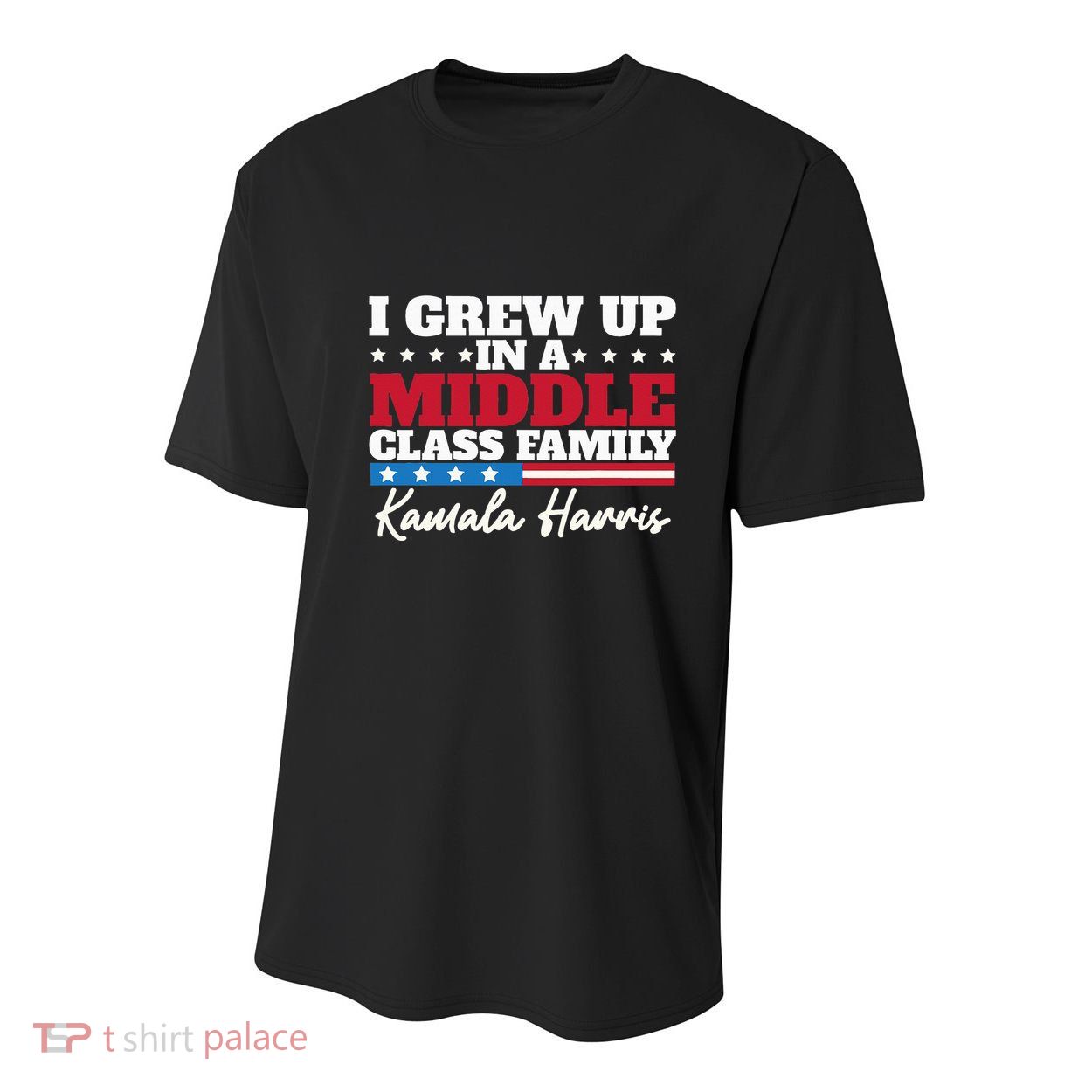 I Grew Up In A Middle Class Family Flag American Kamala Youth Performance Sprint T-Shirt