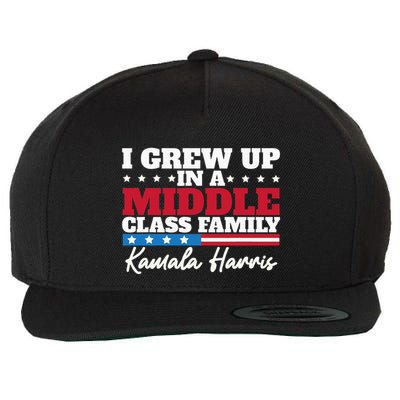 I Grew Up In A Middle Class Family Flag American Kamala Wool Snapback Cap
