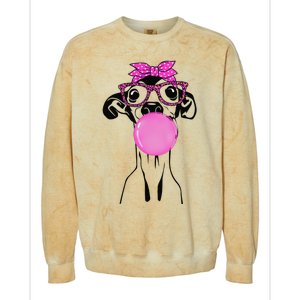 Italian Greyhound with bubble gum bandana glasses Colorblast Crewneck Sweatshirt