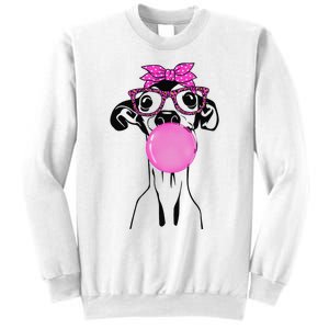 Italian Greyhound with bubble gum bandana glasses Sweatshirt