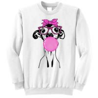 Italian Greyhound with bubble gum bandana glasses Sweatshirt