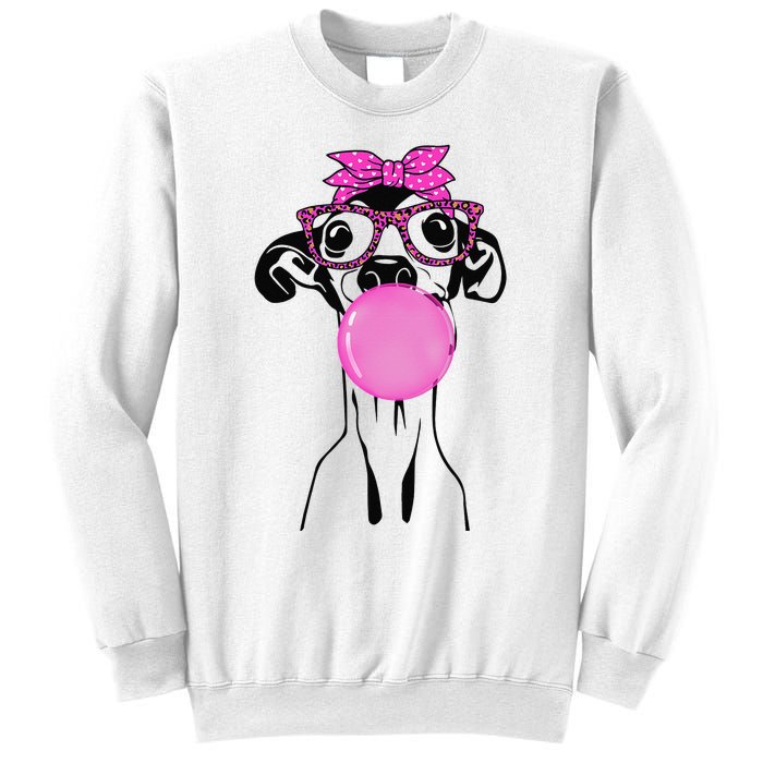 Italian Greyhound with bubble gum bandana glasses Sweatshirt