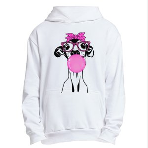 Italian Greyhound with bubble gum bandana glasses Urban Pullover Hoodie