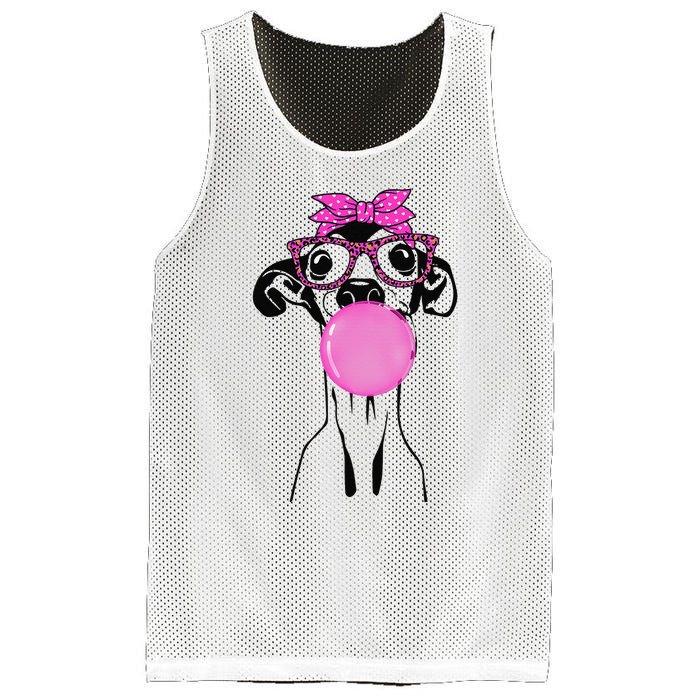 Italian Greyhound with bubble gum bandana glasses Mesh Reversible Basketball Jersey Tank