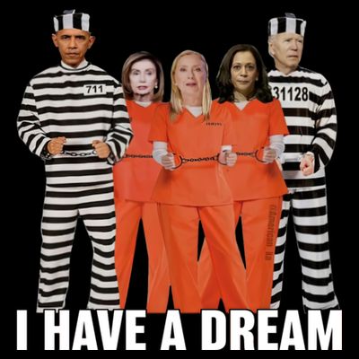 I Have A Dream Funny T-Shirt