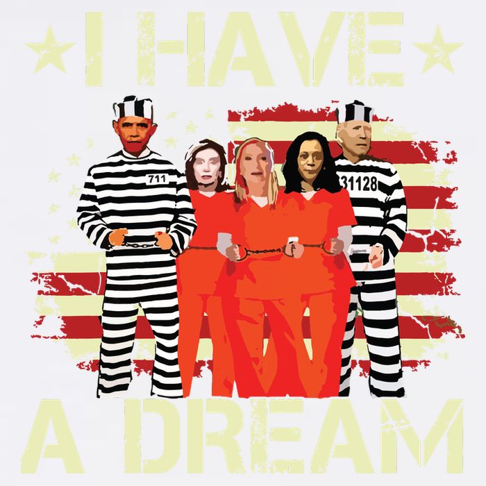 I Have A Dream Funny Biden Beanie