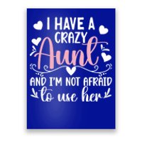 I Have A Crazy Aunt From Aunt To Niece Funny Gift Poster