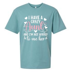 I Have A Crazy Aunt From Aunt To Niece Funny Gift Sueded Cloud Jersey T-Shirt