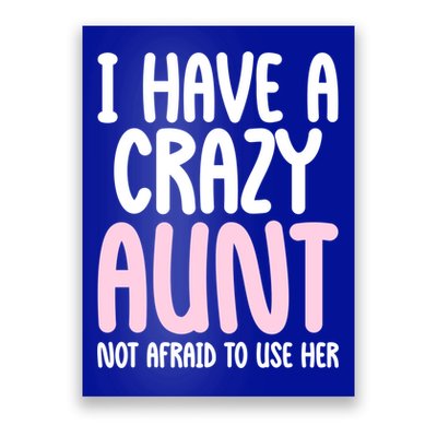 I Have A Crazy Aunt Not Afraid To Use Her Funny Aunt Niece Great Gift Poster