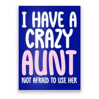 I Have A Crazy Aunt Not Afraid To Use Her Funny Aunt Niece Great Gift Poster