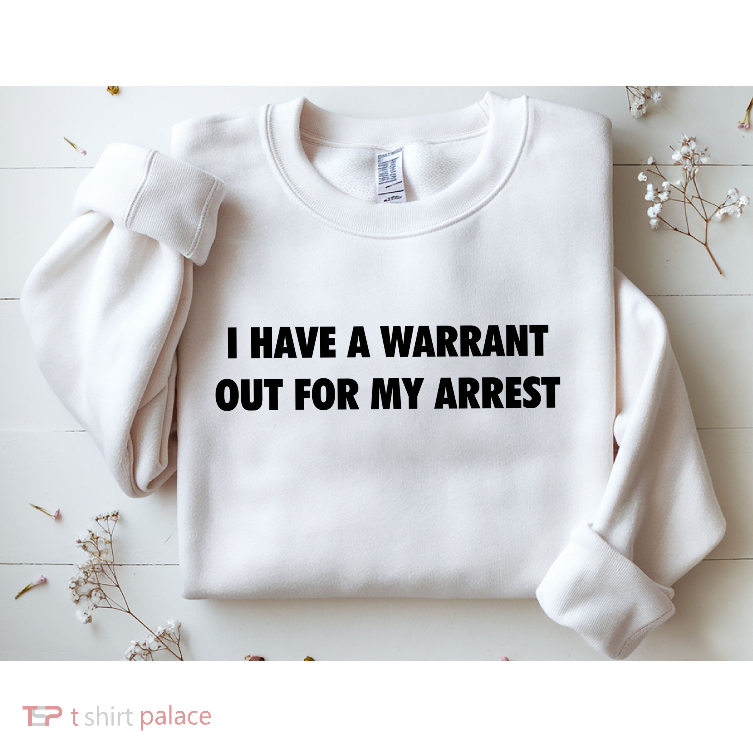 I Have A Warrant Out For My Arrest 2000s Celebrity Inspired Sweatshirt