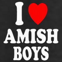 I Heart Amish Attraction Handsome Hot Sexy 7 Panel Mesh Trucker Snapback Hat