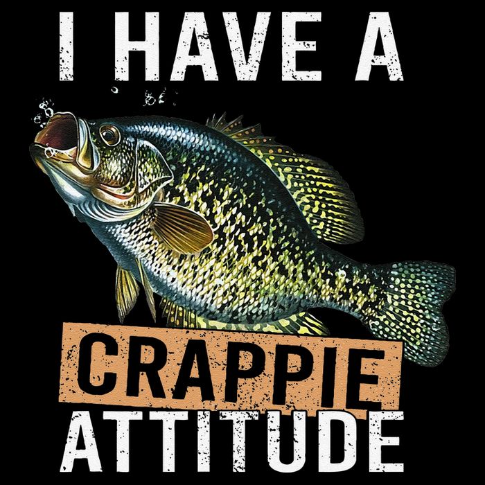 I Have A Crappie Attitude Fishing Wool Snapback Cap