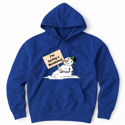 I'm Having A Meltdown Hoodie