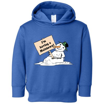 I'm Having A Meltdown Toddler Hoodie