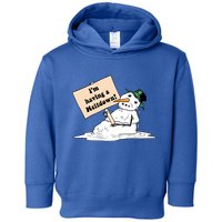 I'm Having A Meltdown Toddler Hoodie