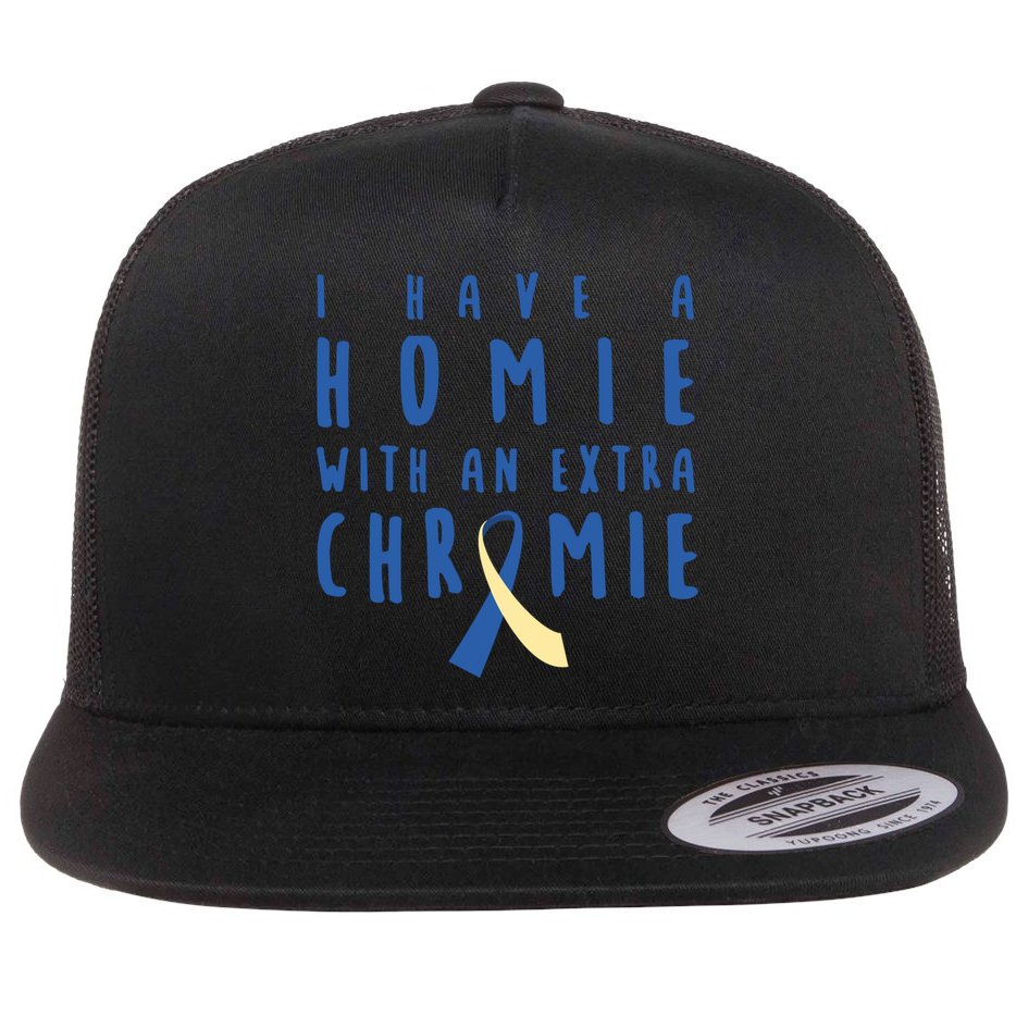 I Have A Homie With An Extra Chromie Down Syndrome Awareness Cool Gift Flat Bill Trucker Hat