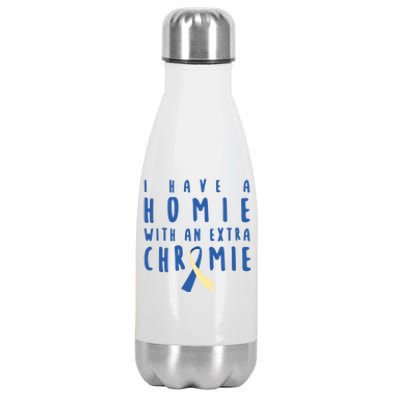 I Have A Homie With An Extra Chromie Down Syndrome Awareness Cool Gift Stainless Steel Insulated Water Bottle