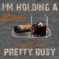 IM Holding A Cigar So Yeah IM Pretty Busy Cigar 7-Panel Snapback Hat