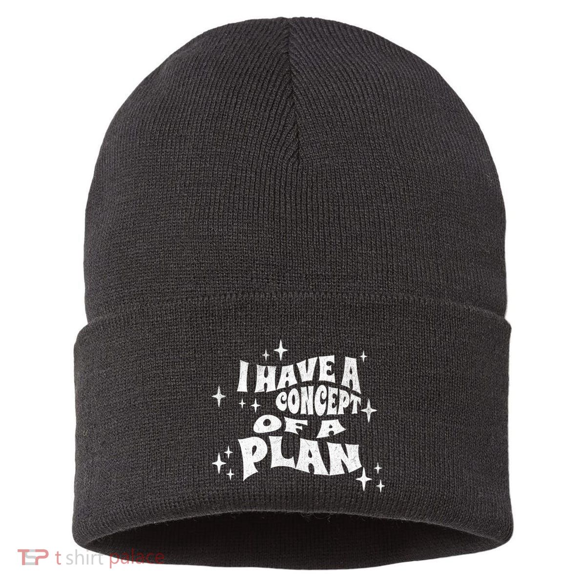 I Have A Concept Of A Plan Sustainable Knit Beanie