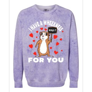 I Have A Weakness For You Guinea Pig Meaningful Gift Colorblast Crewneck Sweatshirt