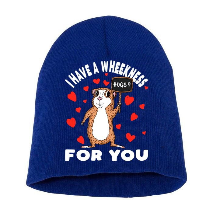 I Have A Weakness For You Guinea Pig Meaningful Gift Short Acrylic Beanie