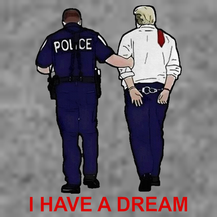 I Have A Dream Police Arrest Trump Toddler Hoodie