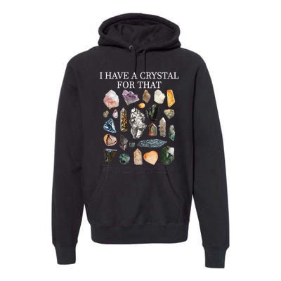 I Have A Crystal For That Funny Gemstone Chakra Healer Gifts Premium Hoodie