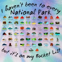 I HavenT Been To Every National Park But ItS On My Bucket Legacy Tie Dye Trucker Hat