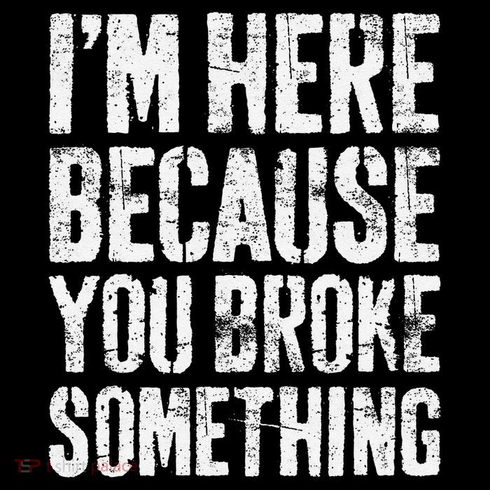 IM Here Because You Broke Something Mechanic Toddler Sweatshirt