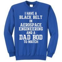 I Have Black Belt In Aerospace Engineering Dad Bod To Match Gift Sweatshirt