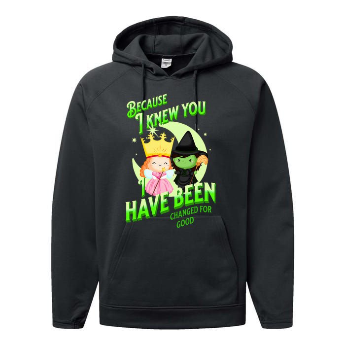 I Have Been Changed For Good Performance Fleece Hoodie