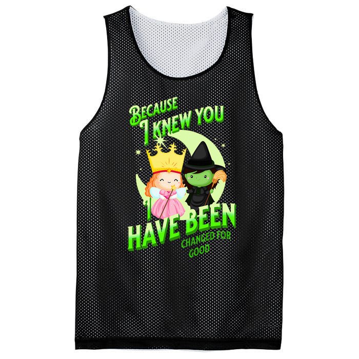 I Have Been Changed For Good Mesh Reversible Basketball Jersey Tank