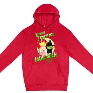 I Have Been Changed For Good Premium Pullover Hoodie