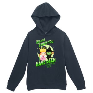 I Have Been Changed For Good Urban Pullover Hoodie