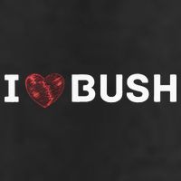 I Heart Bush Awesome I Love Bush 11oz C Handle Ceramic Mug