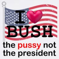 I Heart Bush The Pussy Not The President Hoodie