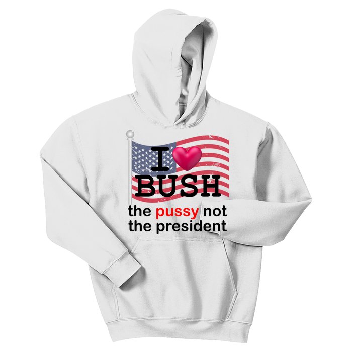 I Heart Bush The Pussy Not The President Kids Hoodie