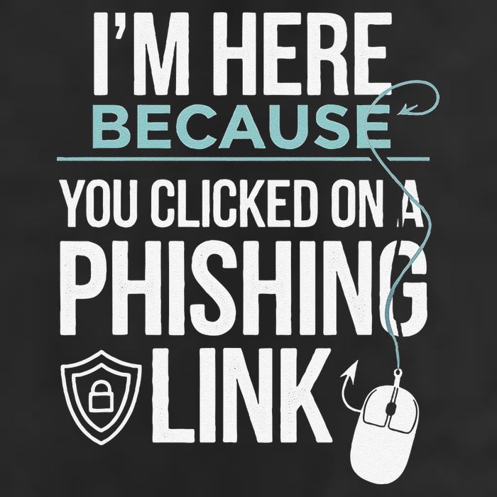 IM Here Because You Clicked On Phishing Link Cyber Security Premium Pullover Hoodie