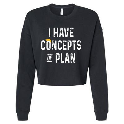 I Have Concepts Of A Plan Cropped Pullover Crew